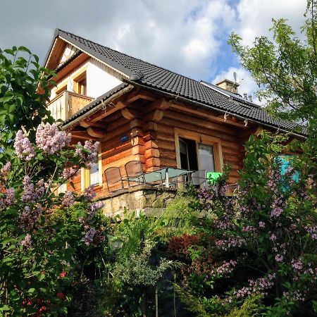 Moja Chata Do Wynajecia Istebna Exterior foto